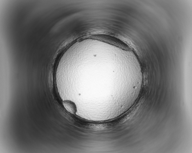 X0000096430349200802141436