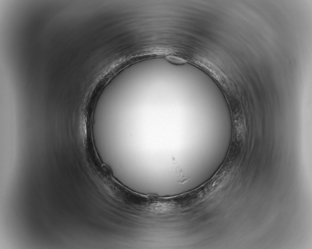 X0000096430350200802141436