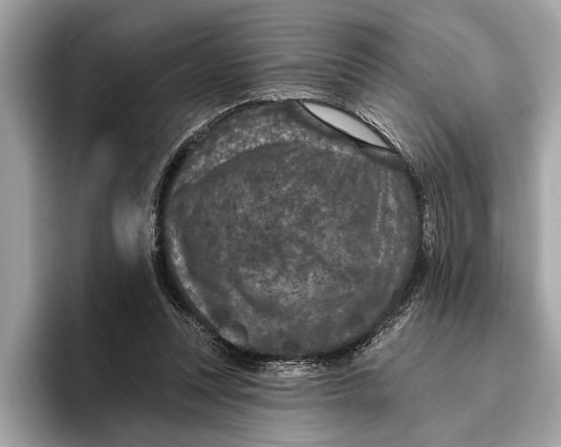 X0000096430351200802141436
