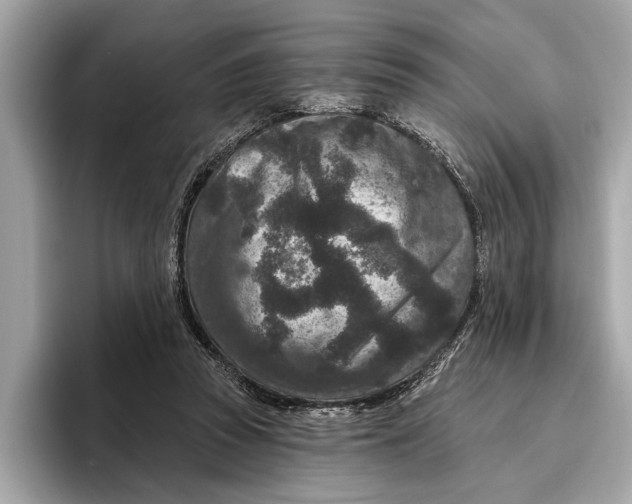 X0000096430353200802141436