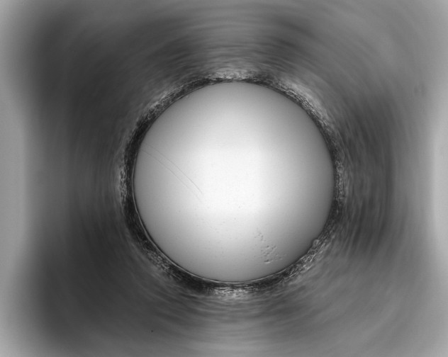 X0000096430354200802141436