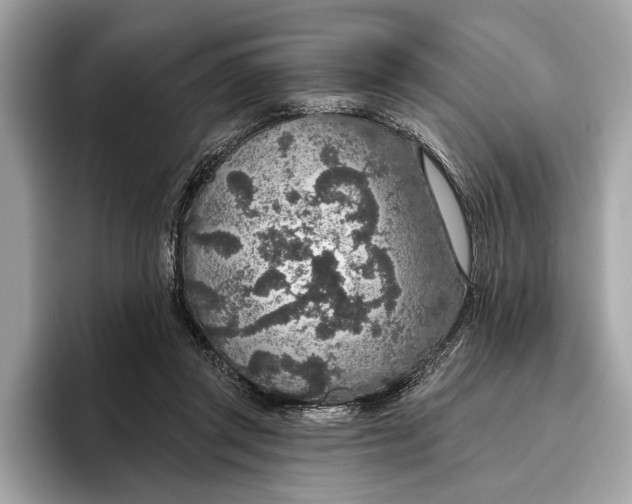 X0000096430357200802141436