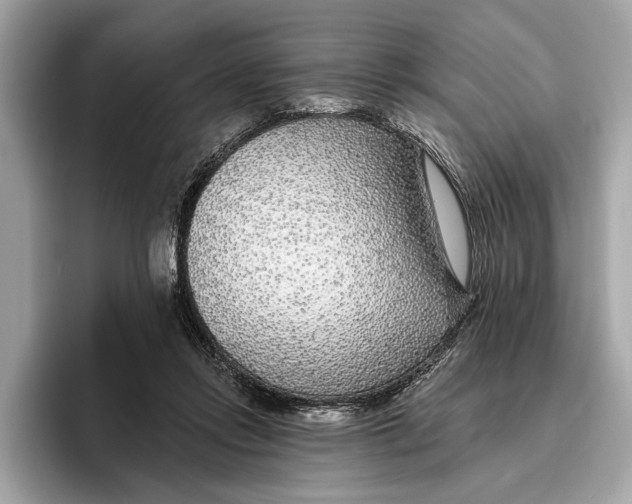 X0000096430358200802141436