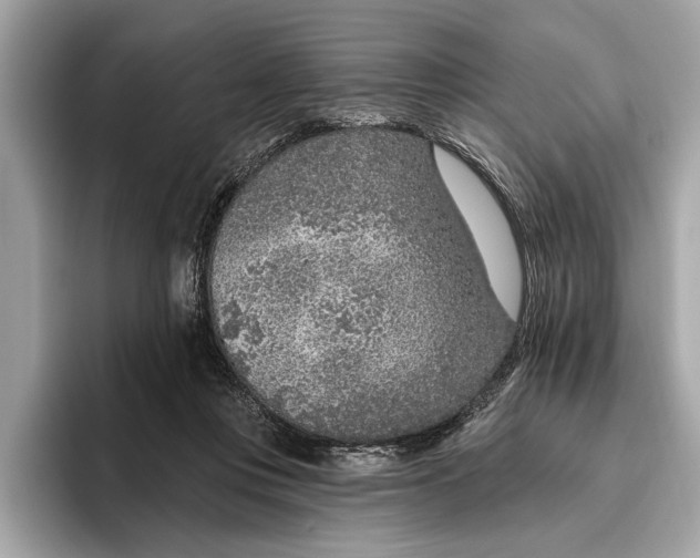 X0000096430359200802141436