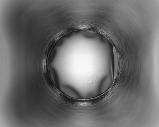 X0000096430360200802141436