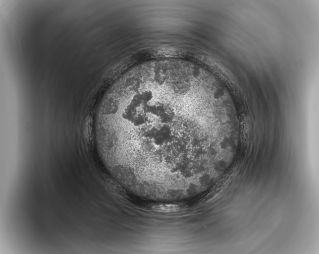 X0000096430361200802141436