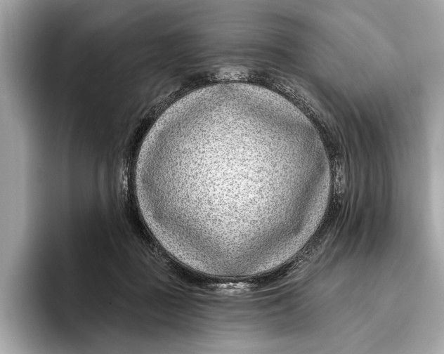X0000096430363200802141436