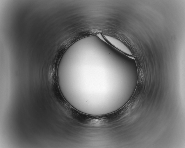 X0000096430364200802141436