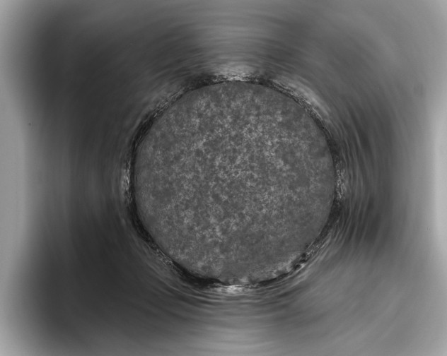 X0000096430365200802141436