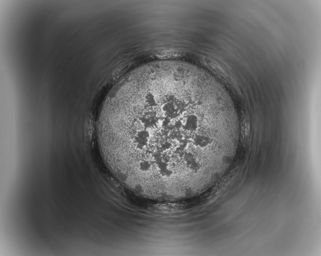 X0000096430367200802141436
