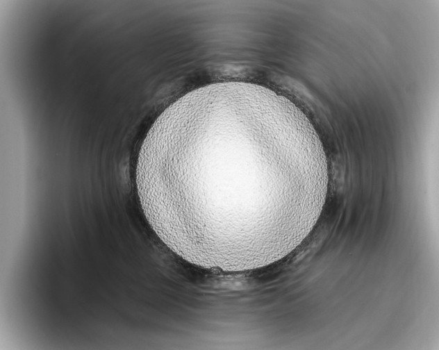X0000096430377200802141436