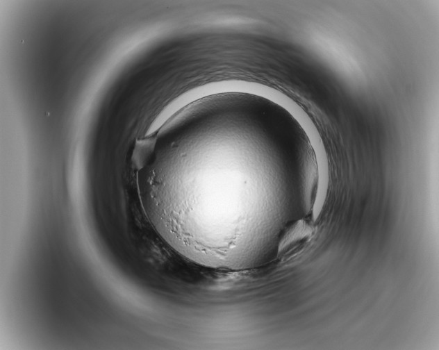 X0000096430382200802141437