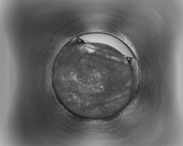 X0000096430385200802141436