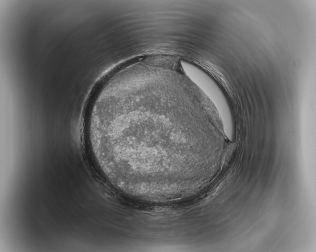 X0000096430388200802141436