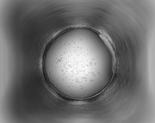 X0000096430389200802141436