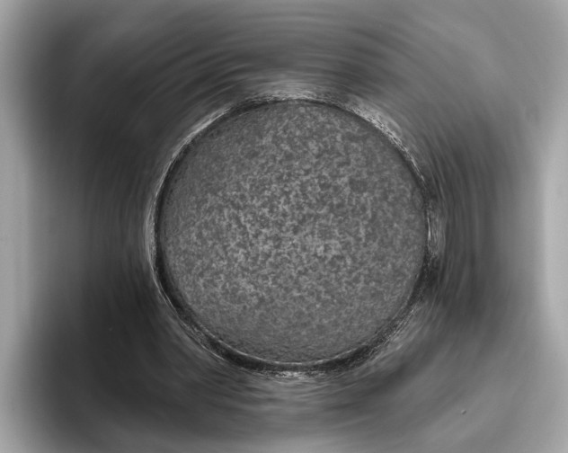 X0000096430390200802141436