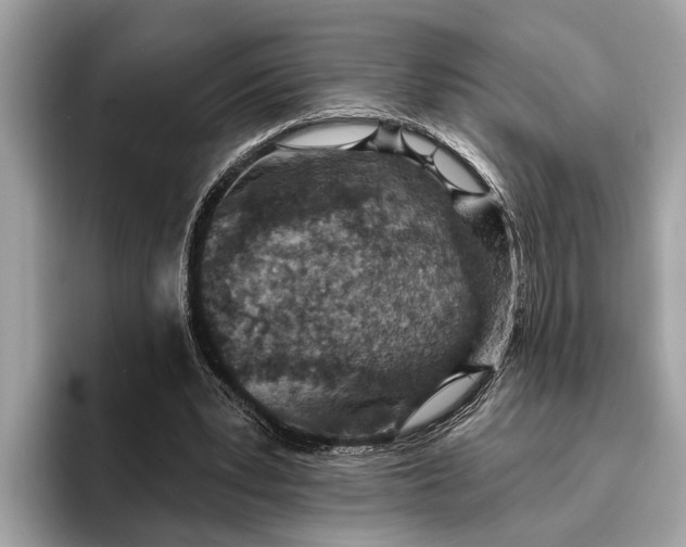 X0000096430391200802141436