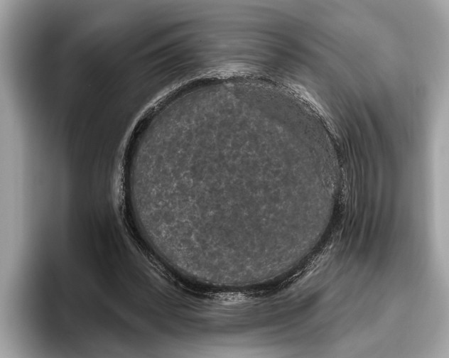 X0000096430392200802141436
