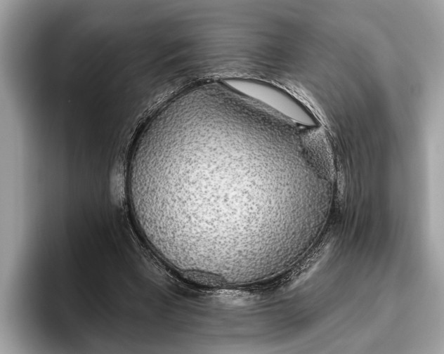 X0000096430393200802141436