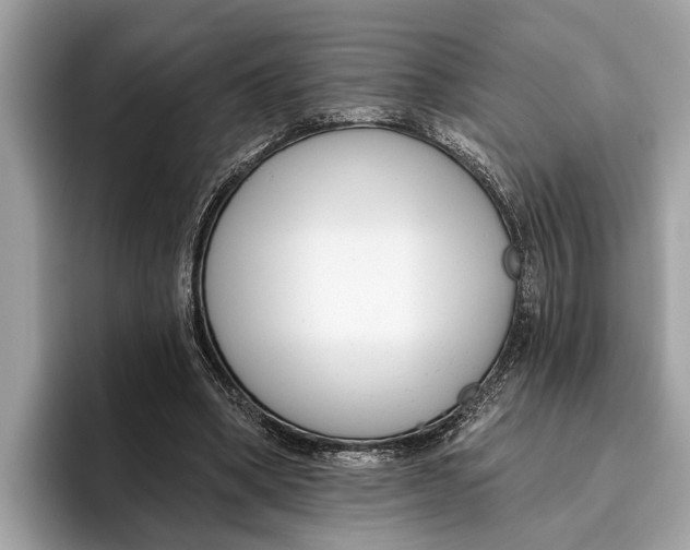 X0000096430394200802141436