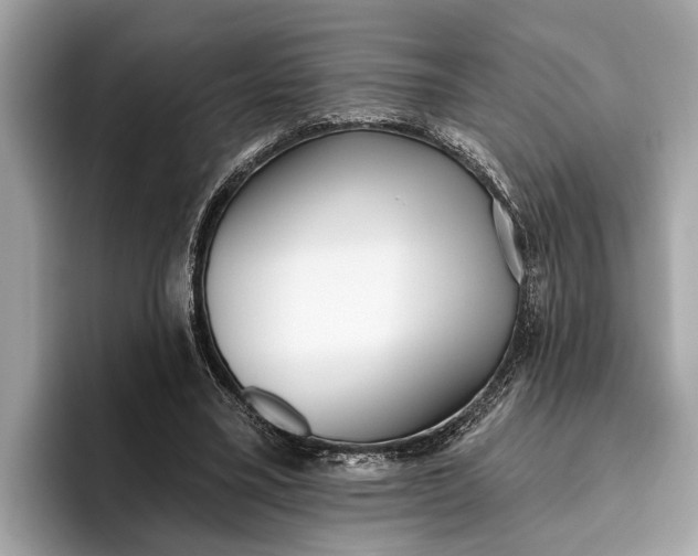 X0000096430395200802141436