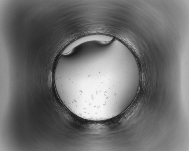 X0000096430397200802141436