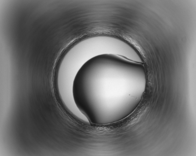 X0000096430399200802141436