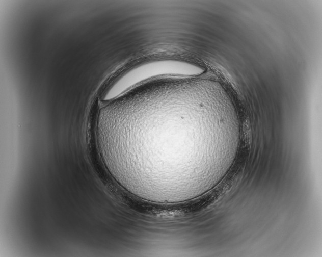 X0000096430400200802141436