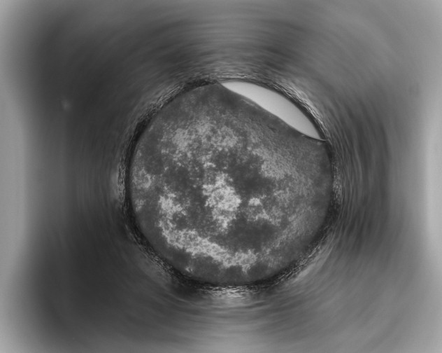 X0000096430402200802141436