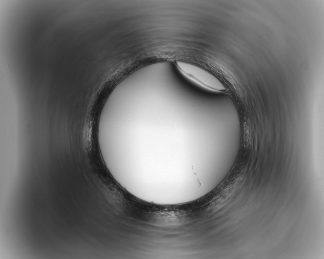 X0000096430404200802141436