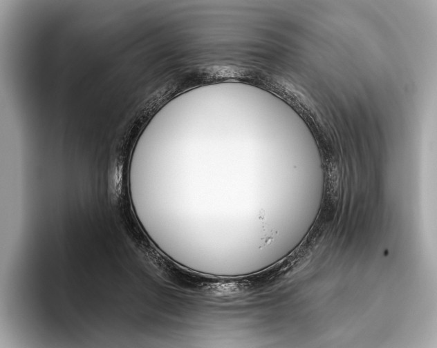 X0000096430406200802141436