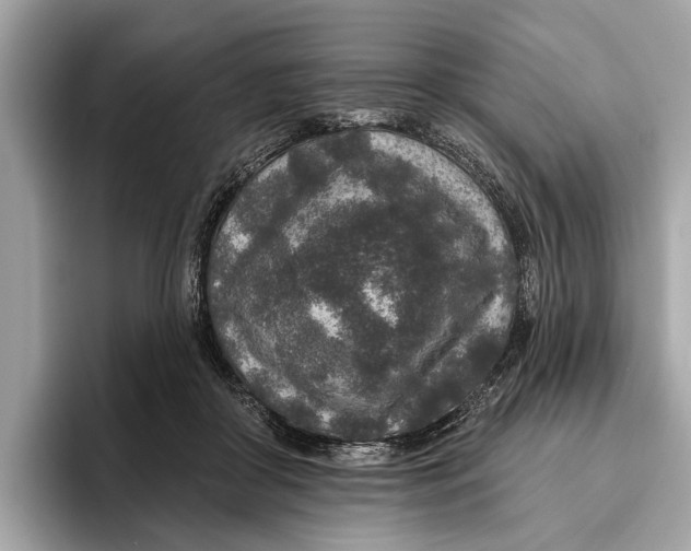 X0000096430410200802141436