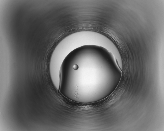 X0000096430411200802141436