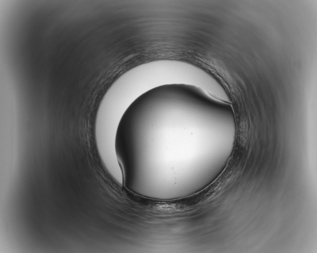 X0000096430413200802141436