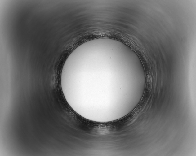 X0000096430416200802141436