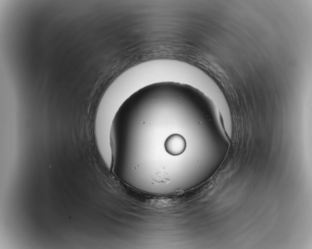 X0000096430419200802141436