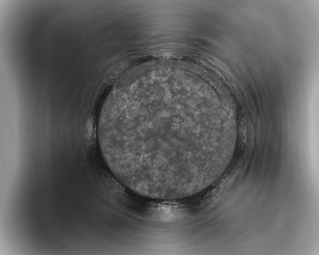 X0000096430420200802141436