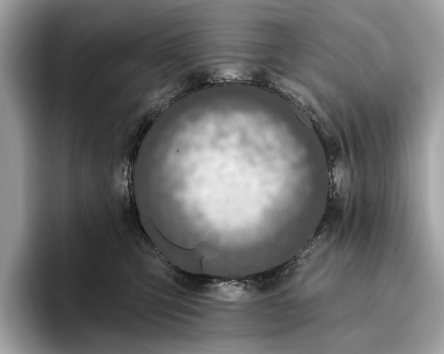 X0000096430423200802141435