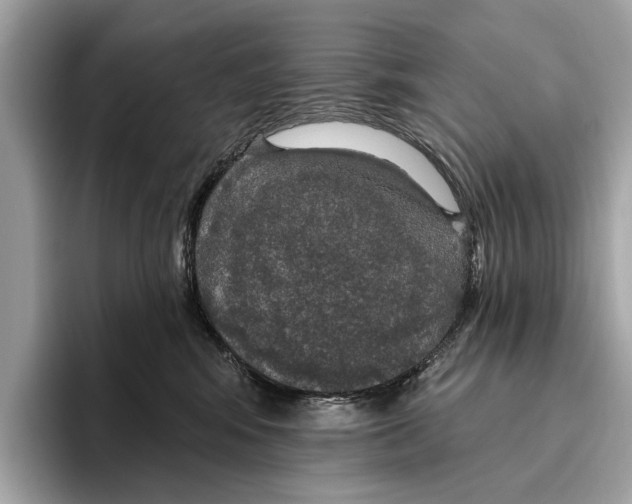 X0000096430424200802141435