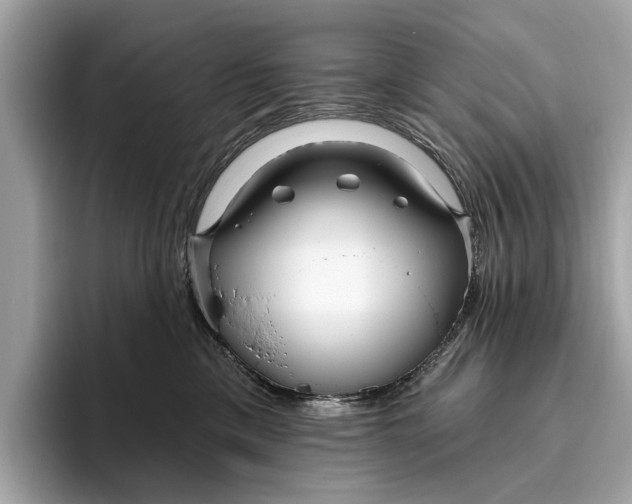 X0000096430425200802141435