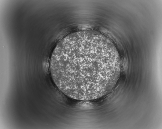 X0000096430427200802141435