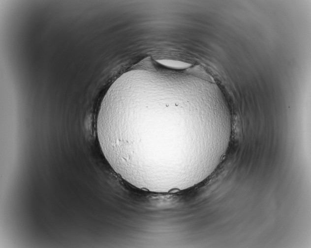 X0000096430428200802141435
