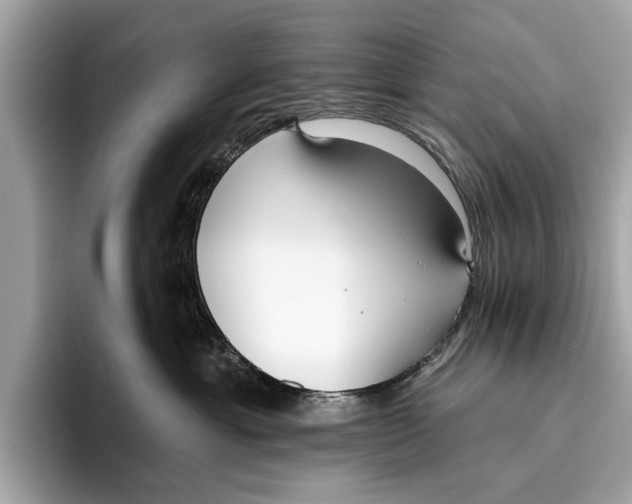 X0000096430429200802141435