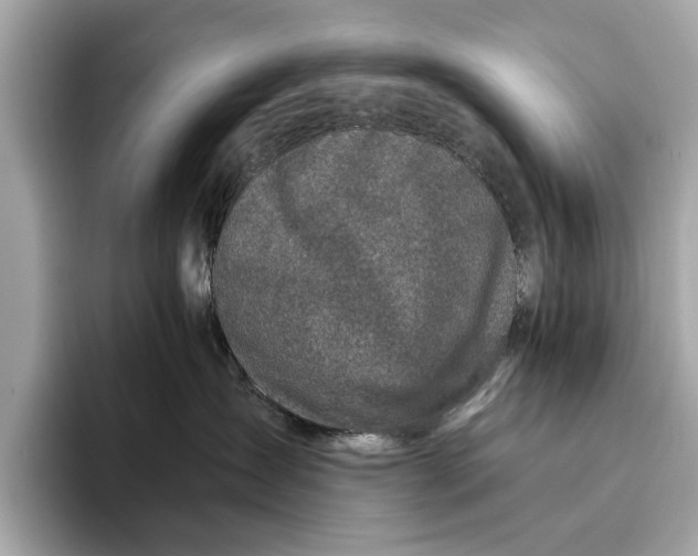 X0000096430431200802141435