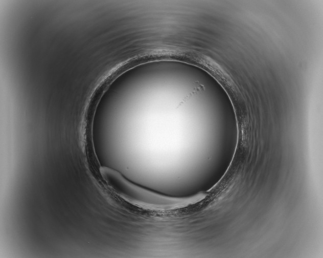 X0000096430436200802141435