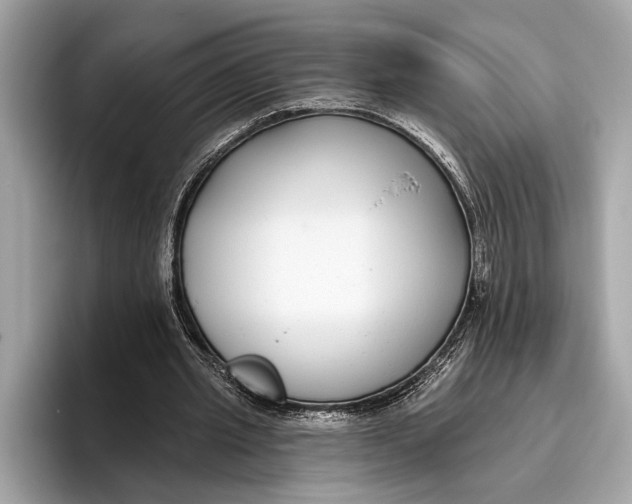 X0000096430437200802141435