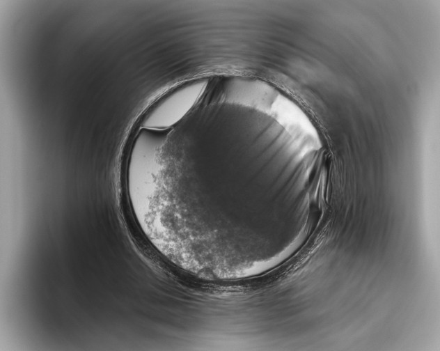 X0000096430438200802141435