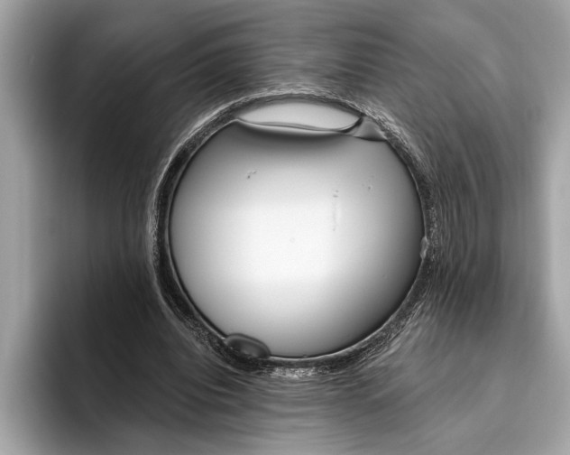 X0000096430440200802141435
