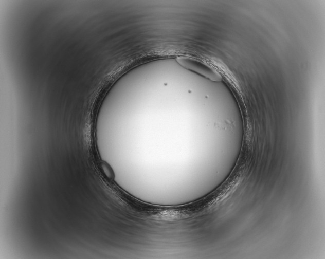 X0000096430441200802141435