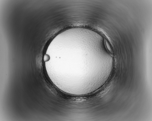 X0000096430443200802141435